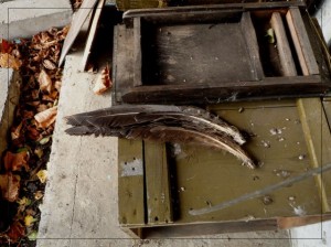 predatelstvo