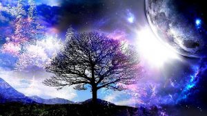 Как прошел Клуб психологии «Анима-терапия»